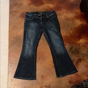 The Limited Dark Blue Flare Jeans